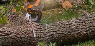 Best Aeration Services  in Helotes, TX